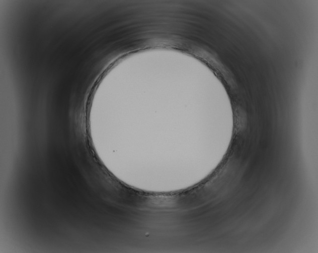 X0000099580836200805160744