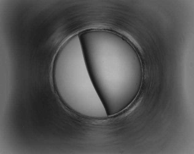 X0000099580837200805160744