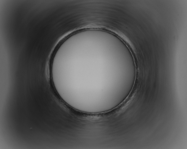X0000099580838200805160744