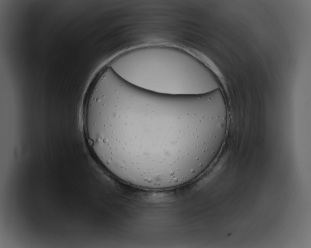 X0000099580839200805160744
