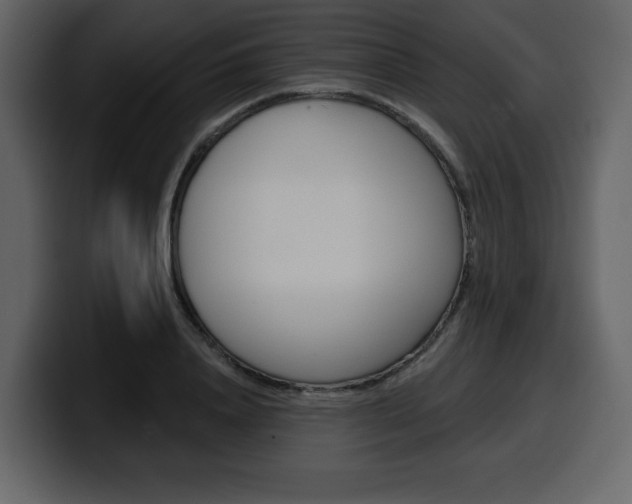 X0000099580840200805160744