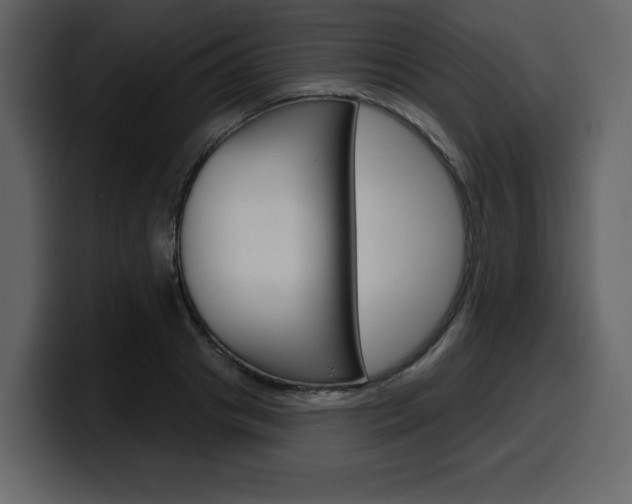 X0000099580841200805160744