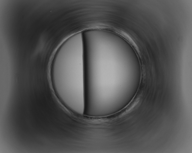 X0000099580843200805160744