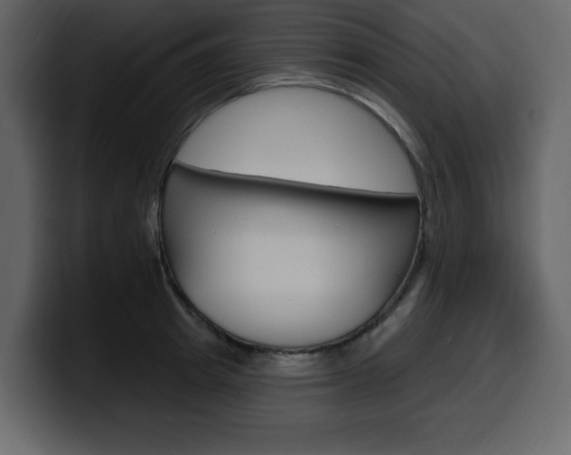 X0000099580849200805160744