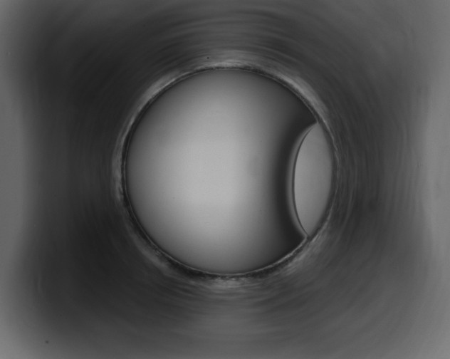 X0000099580850200805160744