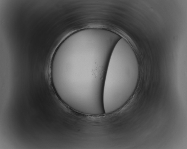 X0000099580852200805160744