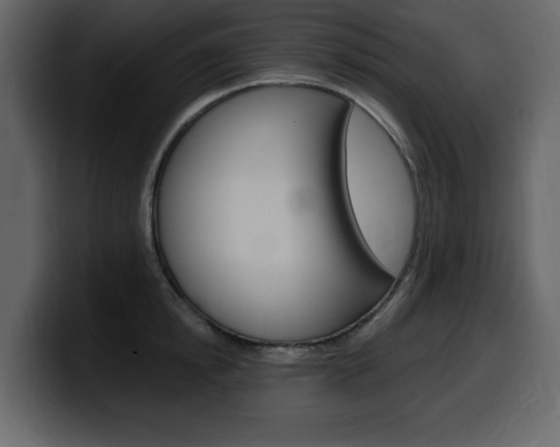 X0000099580854200805160744