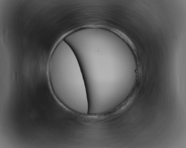 X0000099580855200805160744