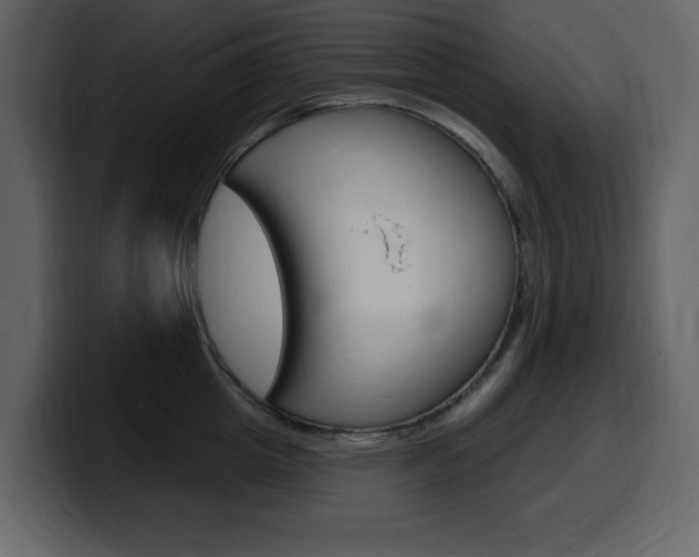 X0000099580857200805160744