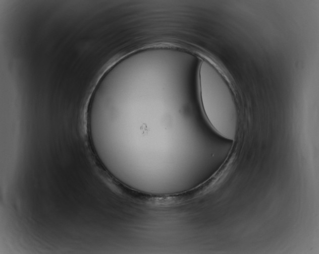 X0000099580858200805160744