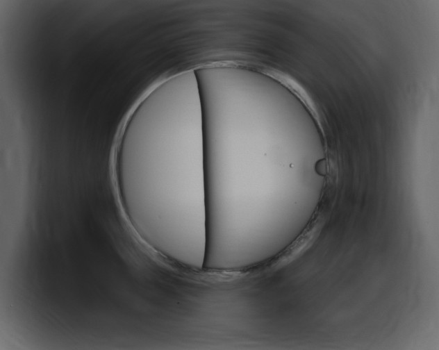 X0000099580859200805160744