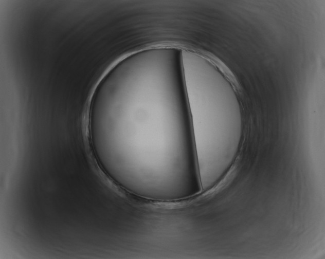 X0000099580860200805160744