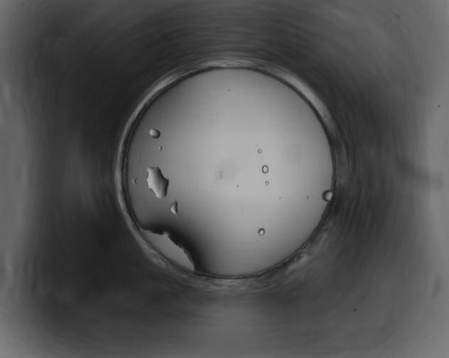 X0000099580861200805160745