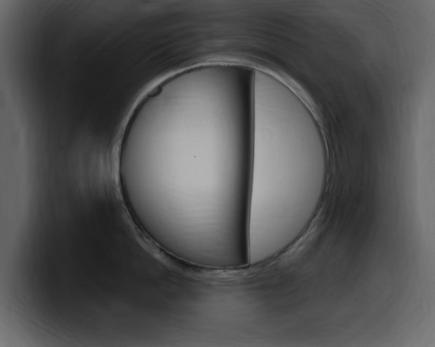 X0000099580862200805160745
