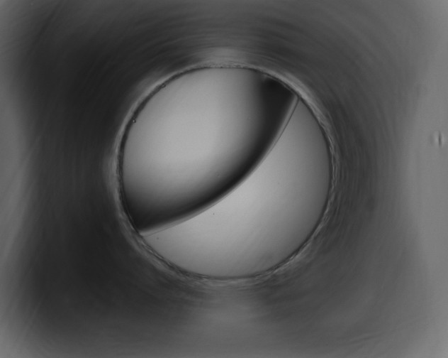 X0000099580864200805160745