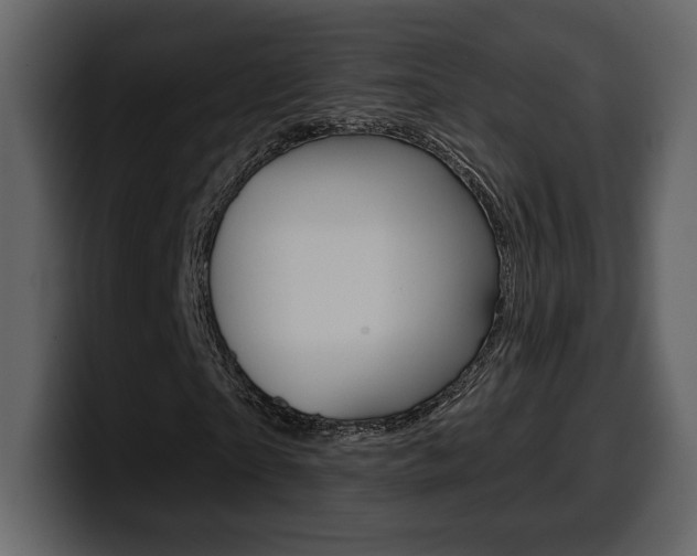 X0000099580865200805160744