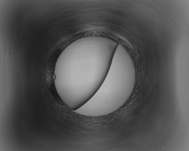 X0000099580869200805160744
