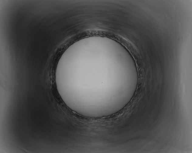X0000099580870200805160744