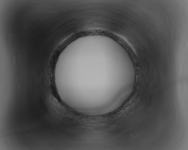 X0000099580871200805160744