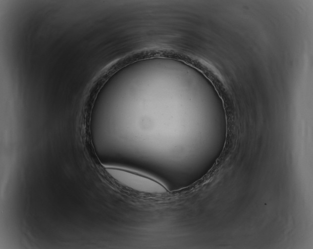 X0000099580872200805160744