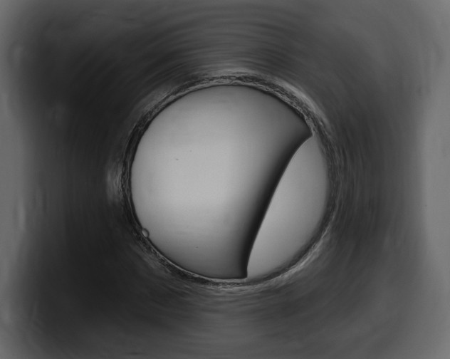 X0000099580873200805160744