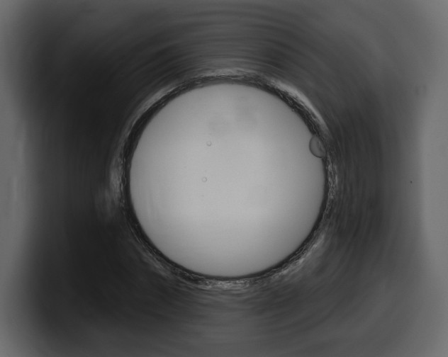 X0000099580874200805160744
