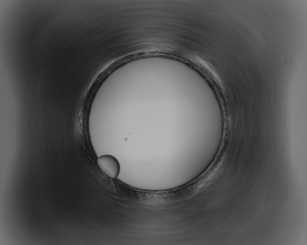 X0000099580875200805160744