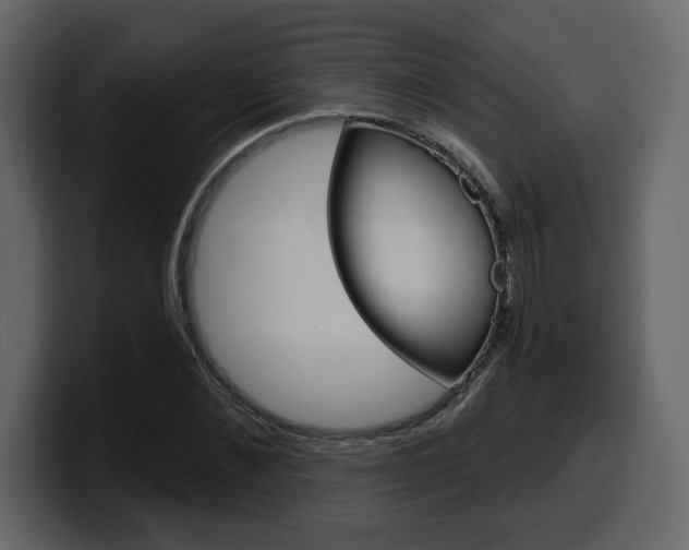 X0000099580876200805160744