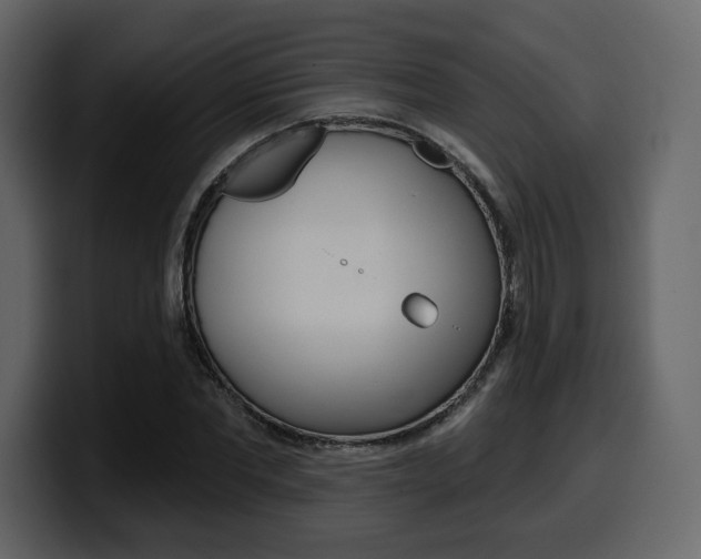 X0000099580877200805160744