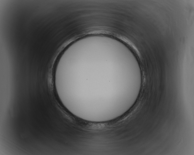X0000099580882200805160744