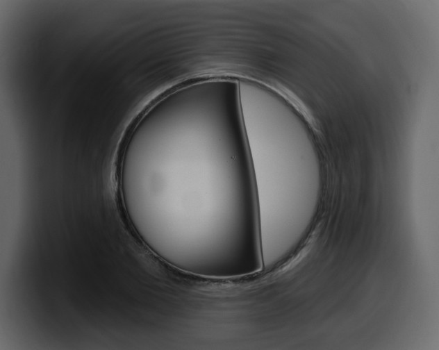 X0000099580885200805160744