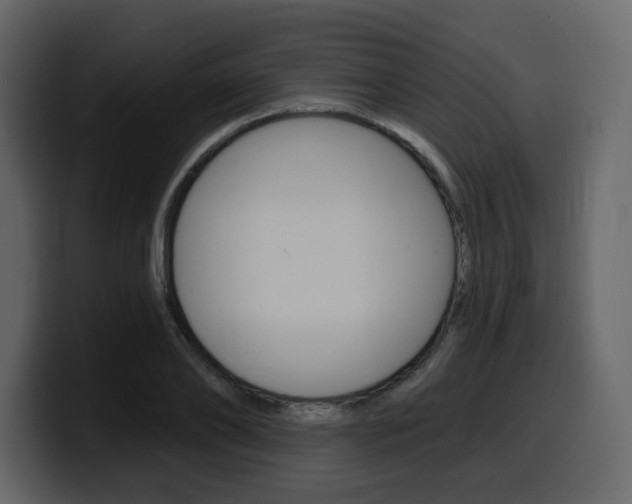 X0000099580886200805160744