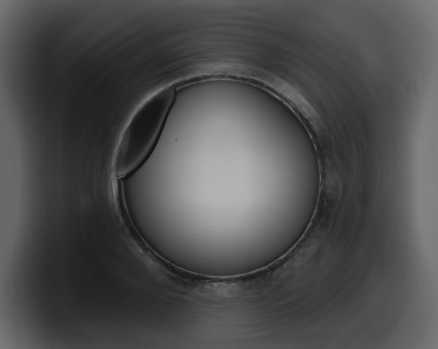 X0000099580888200805160744