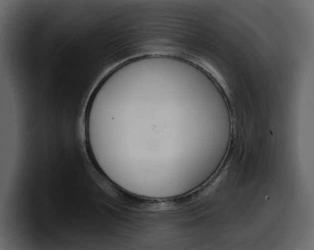 X0000099580891200805160744