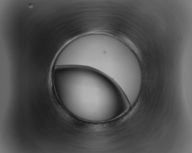 X0000099580892200805160744