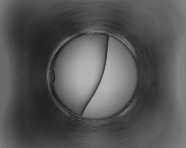 X0000099580893200805160744