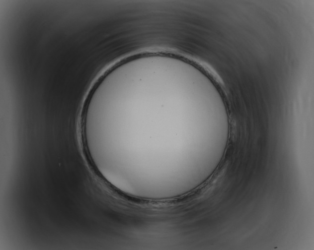 X0000099580895200805160744