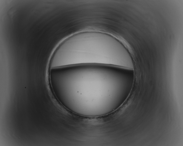 X0000099580896200805160744