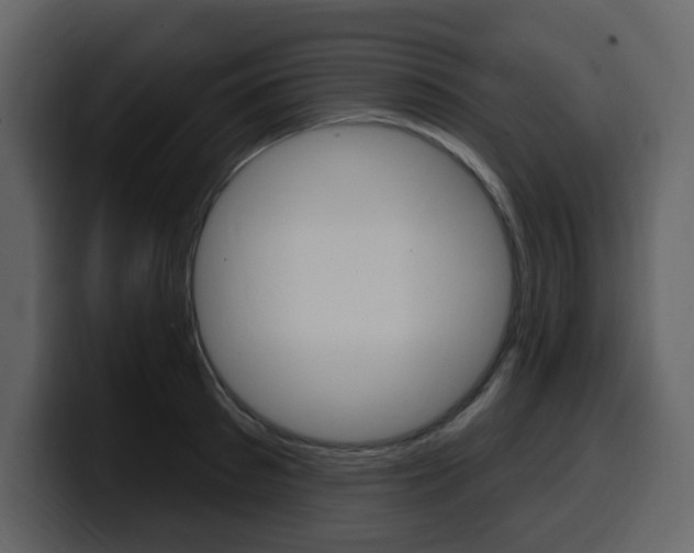 X0000099580897200805160744