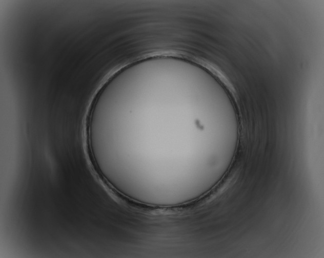 X0000099580898200805160743