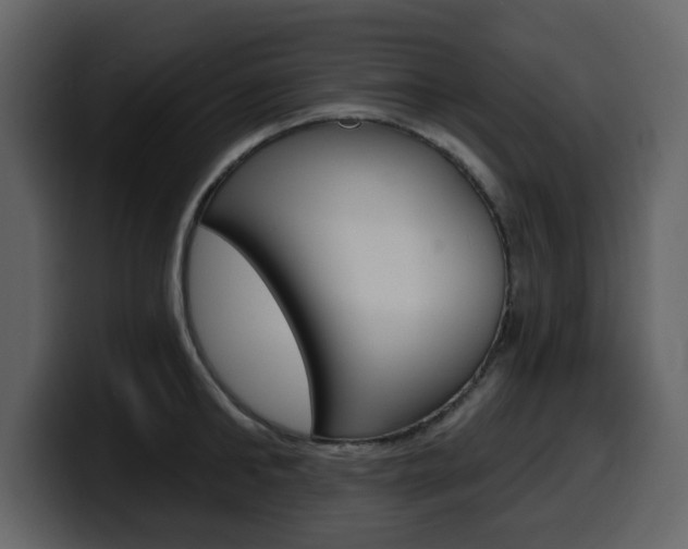 X0000099580902200805160743