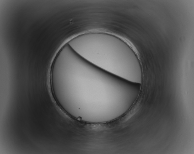 X0000099580903200805160743