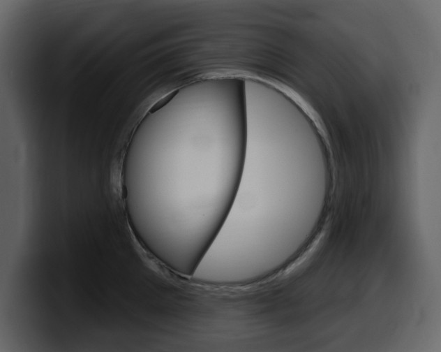 X0000099580905200805160743