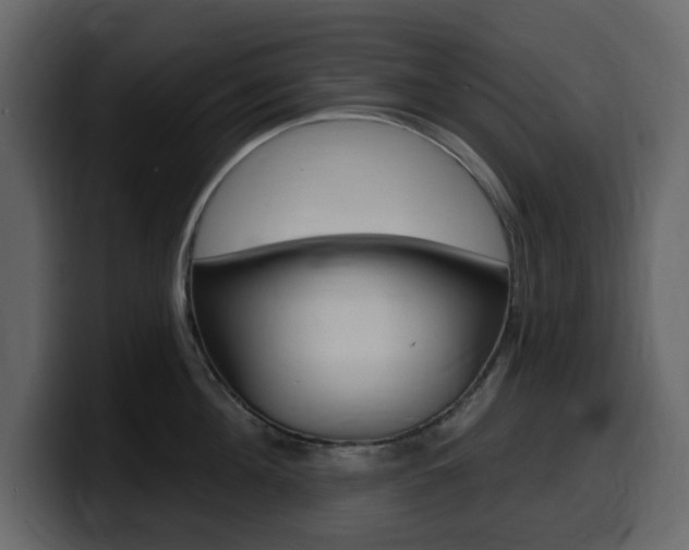 X0000099580908200805160743