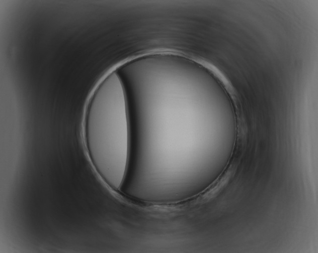 X0000099580910200805160743