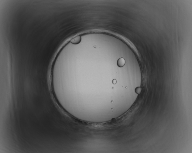 X0000099580911200805160743