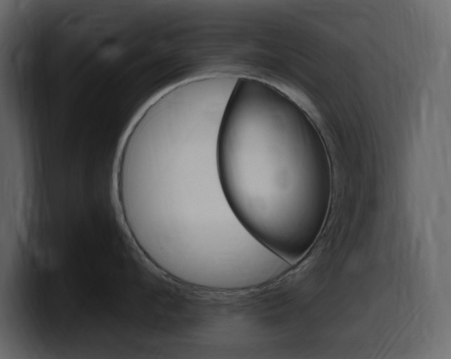X0000099580912200805160743