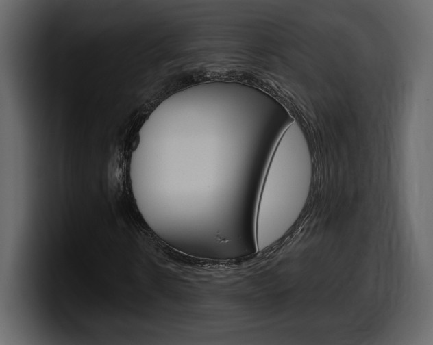 X0000099580914200805160743