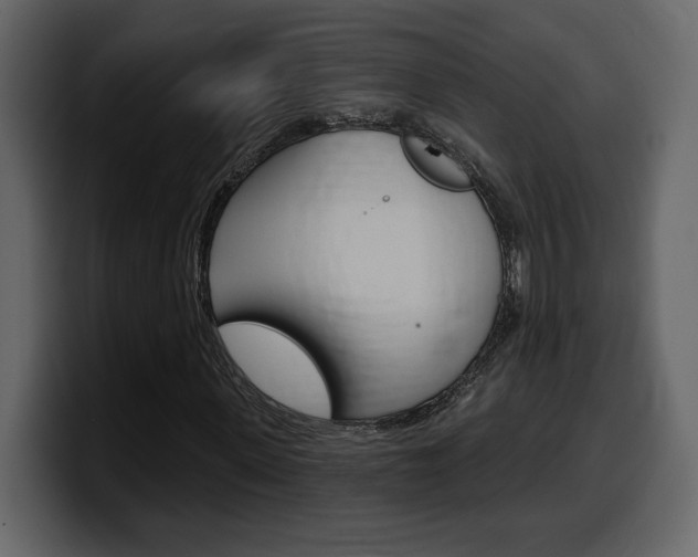 X0000099580915200805160743