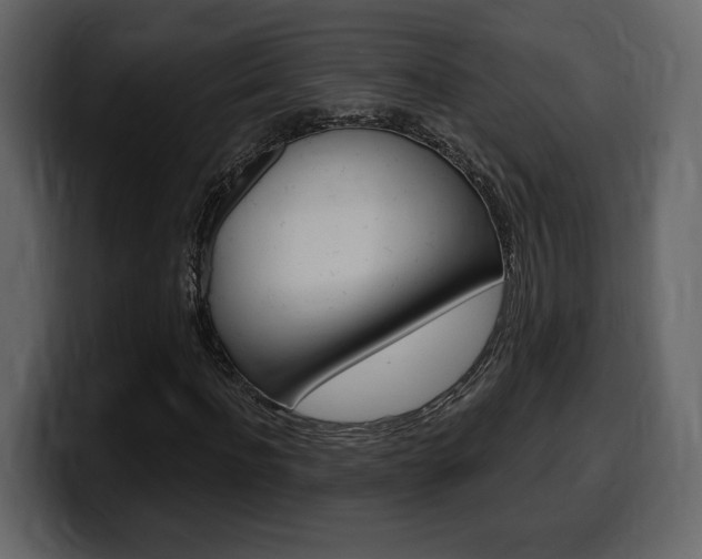 X0000099580916200805160743